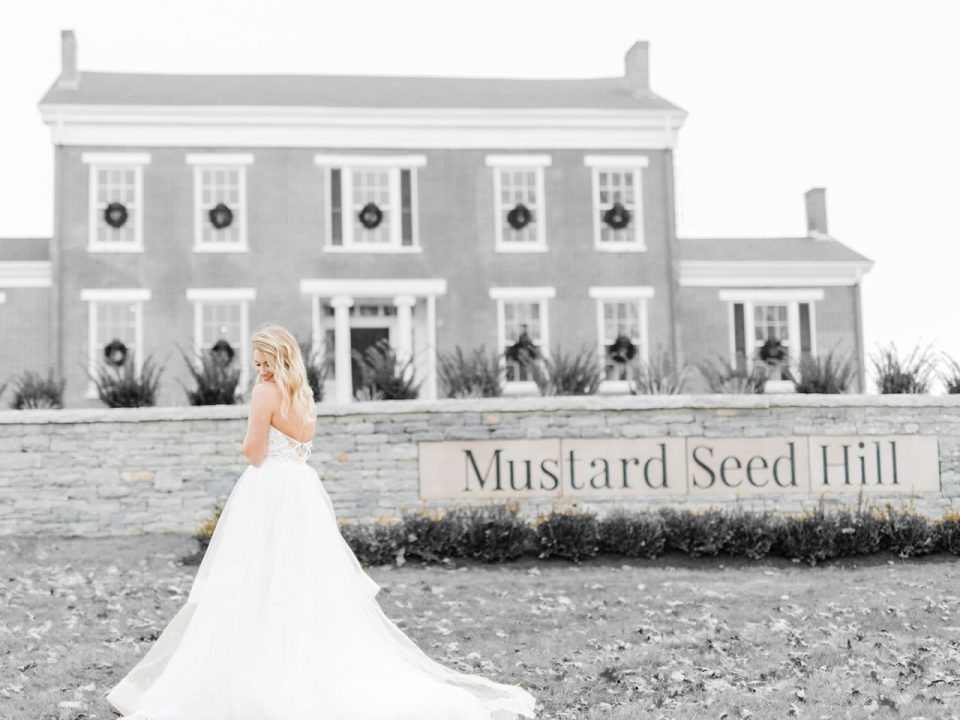 mustart seed hill image